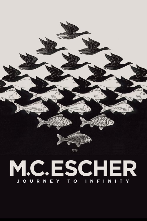 Escher: Journey Into Infinity