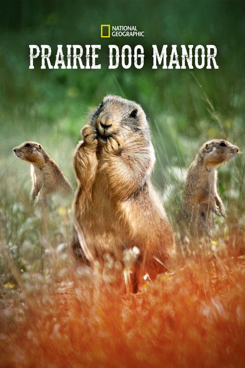 Poster Prairie Dog Manor
