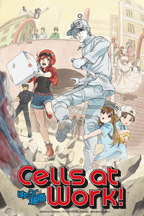 Pôster de Cells at Work!