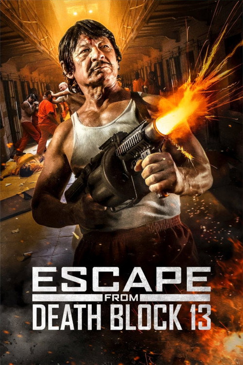 Poster Escape from Death Block 13