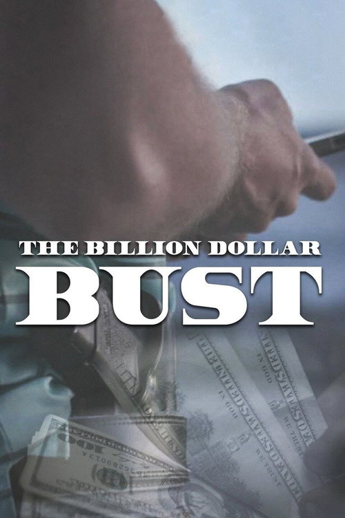 Poster The Billion Dollar Bust