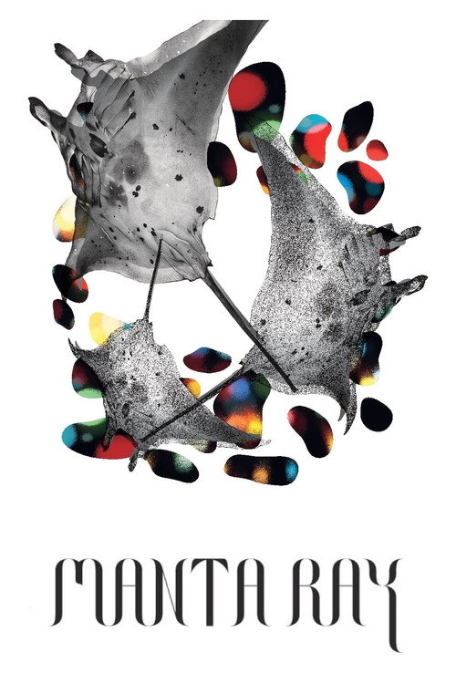 Poster Manta Ray