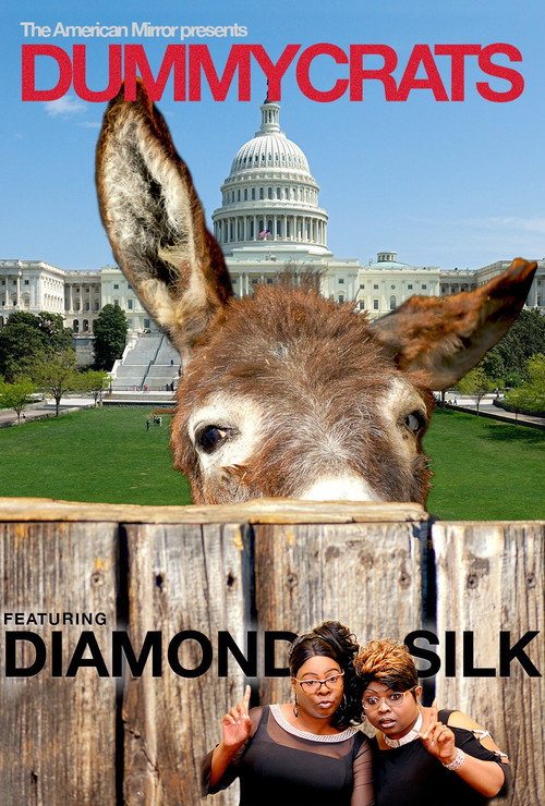 Poster Dummycrats