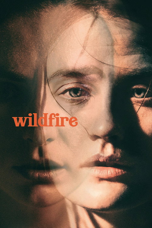 Poster Wildfire