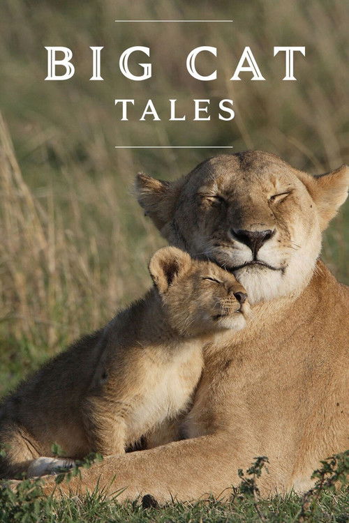 Poster Big Cat Tales