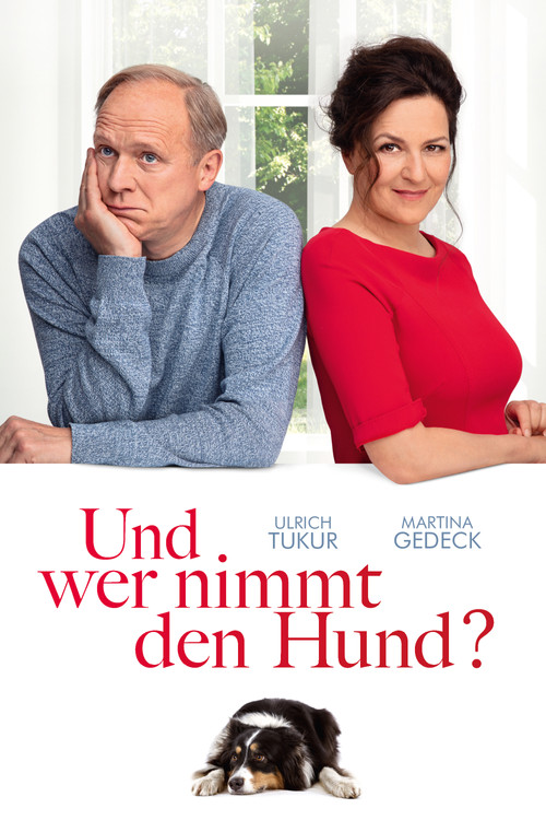 Poster Lost in Separation