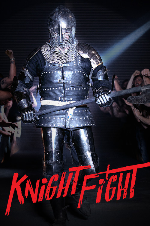 Poster Knight Fight