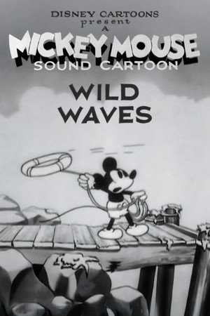 Постер: Wild Waves