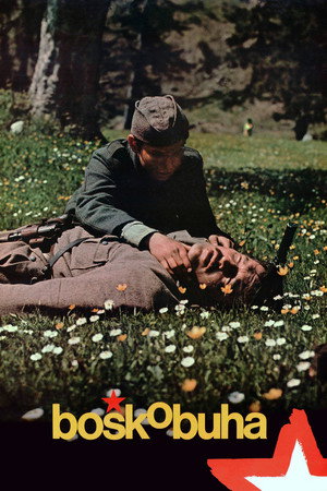 Bosko Buha
