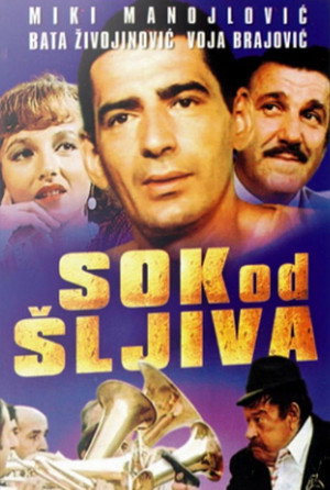 Sok od sljiva