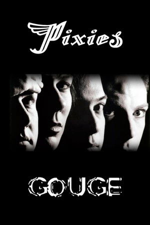 The Pixies