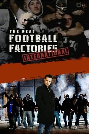 Football Hooligans International