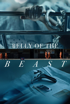 Poster pentru Belly of the Beast (2020)