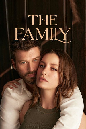 Постер: The Family
