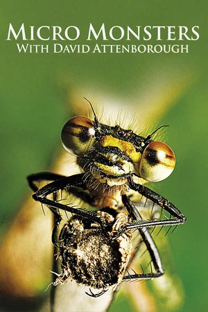 Poster Micro Monsters 3D