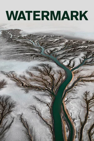 Постер: Watermark