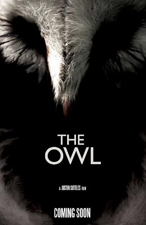 Постер: The Owl