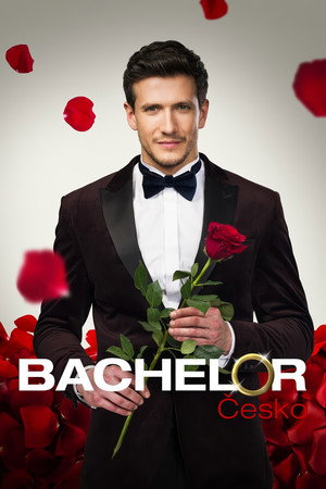 Bachelor Cesko