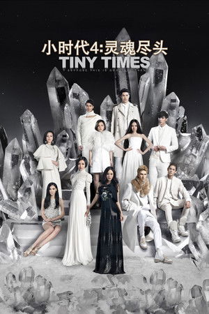 Tiny Times 4.0