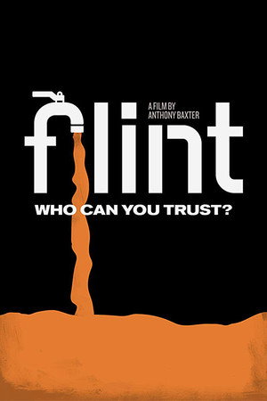 Poster pentru Filinta