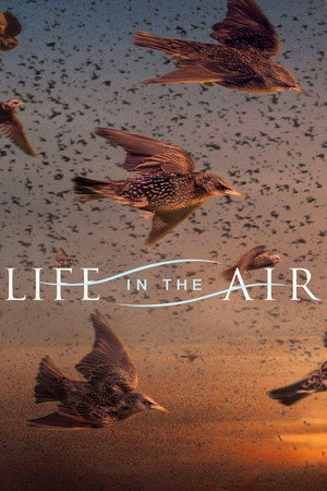 Poster SuperNature - Wild Flyers