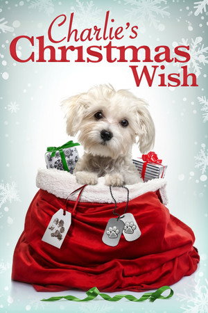 Poster pentru Charlie's Christmas Wish (2020)