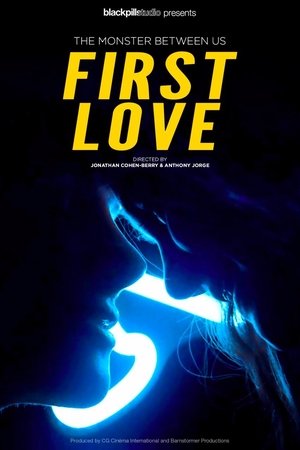 Poster First Love