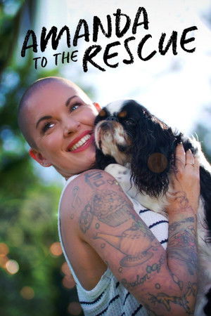 Poster Amanda to the Rescue